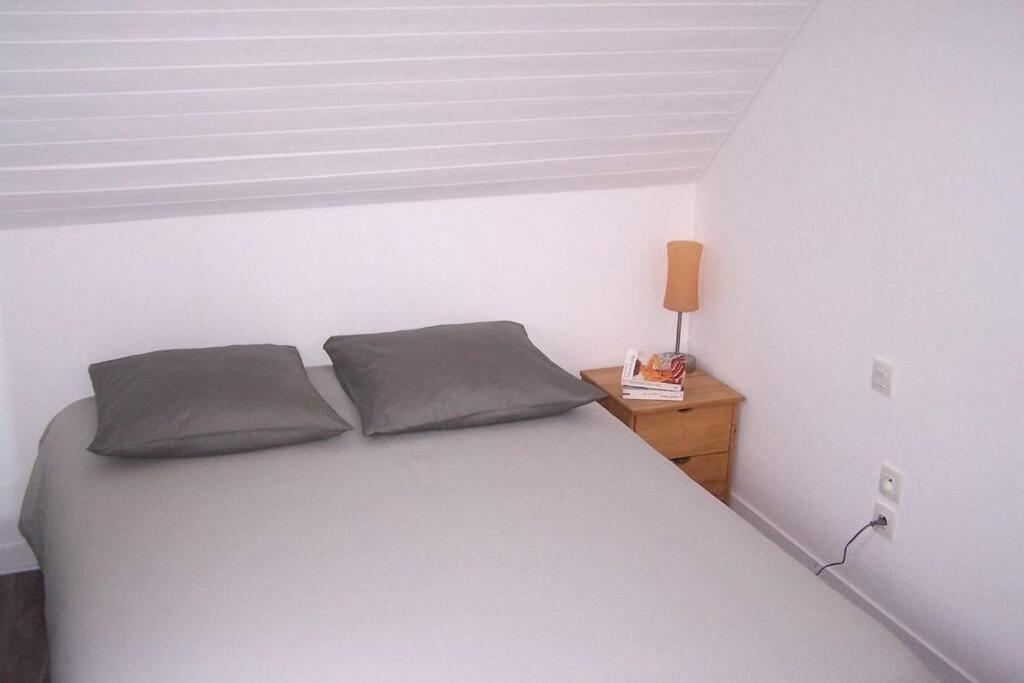 Maison Avec Jardin Clos. Animaux Acceptes - Wifi - Proche Plages De La Trinite Sur Mer Et Carnac 외부 사진