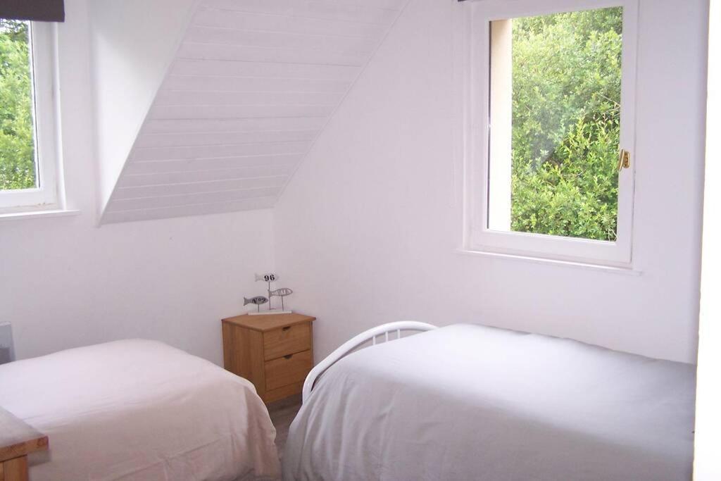 Maison Avec Jardin Clos. Animaux Acceptes - Wifi - Proche Plages De La Trinite Sur Mer Et Carnac 외부 사진
