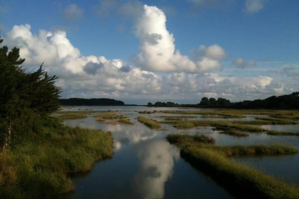 Maison Avec Jardin Clos. Animaux Acceptes - Wifi - Proche Plages De La Trinite Sur Mer Et Carnac 외부 사진